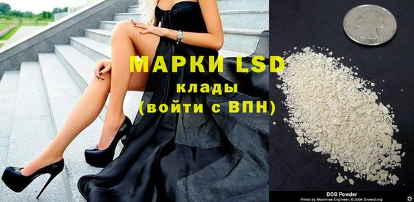 ГАЛЛЮЦИНОГЕННЫЕ ГРИБЫ Горнозаводск