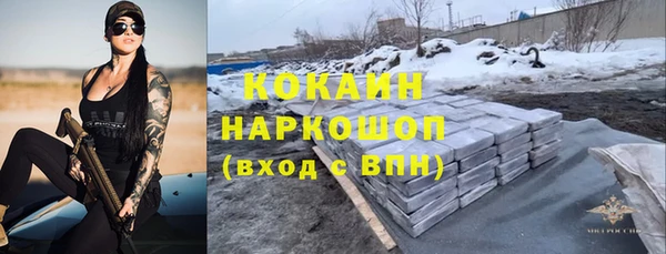 тгк Горняк
